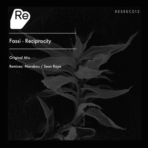 Reciprocity (Marabou Remix)