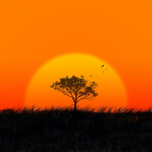 南非节奏（节奏实验室参赛作品）