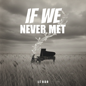 If We Never Met (Flute Version)