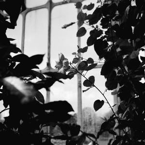 写给一个女孩的歌