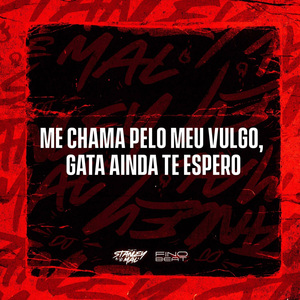 Me Chama Pelo Meu Vulgo, Gata Ainda Te Espero