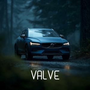 Valve
