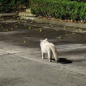 雨季