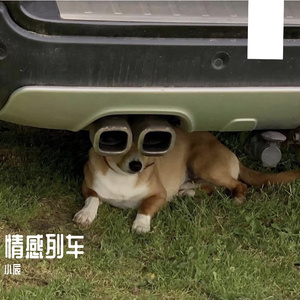 我偏要在这个快餐时代用真心砸出真心