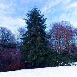 glisten. (feat. CAC)