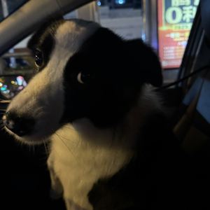 最喜欢跟你在一起的天气.wav