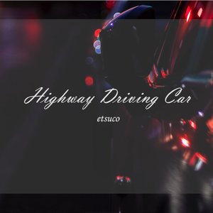 Highway Driving Car