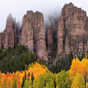 アキンボ ソウル VI