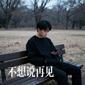 不想说再见