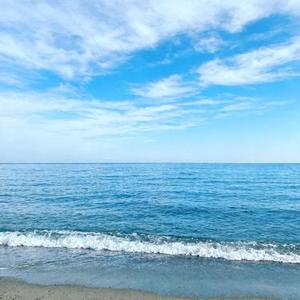 断不了的执念 (Cover 王佳音)