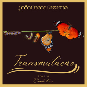 Transmutação