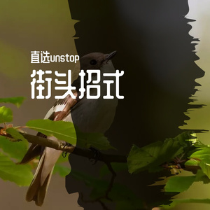 安阳小伙儿(街头招式beat7)