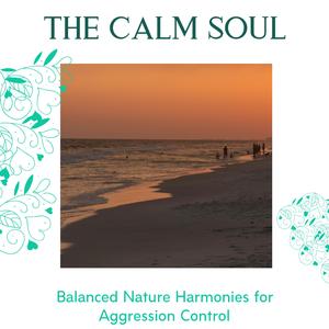 Foamy White Ocean Waves