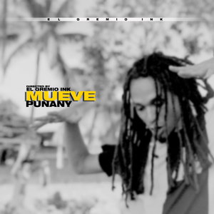 Mueve Punany