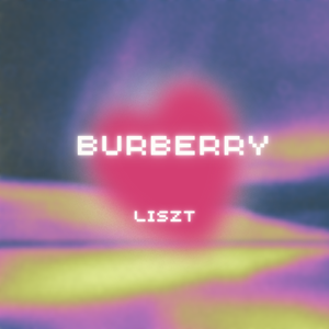 巴宝莉（prod by Slim Dyane)