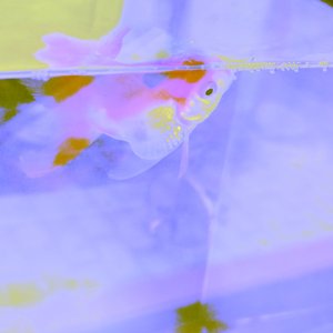 周二复始巴士.wav