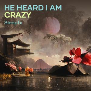 He Heard I Am Crazy