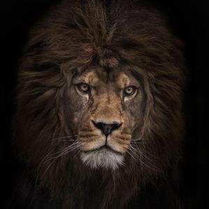 成长的代价是改变