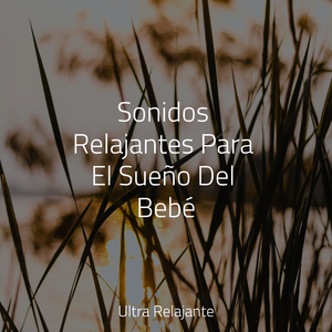 Rapsodia De Día Lluvioso
