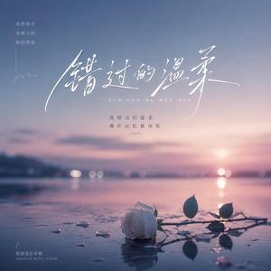 错过的温柔