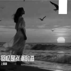 回忆是涨潮的海