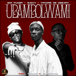 Ubambolwami