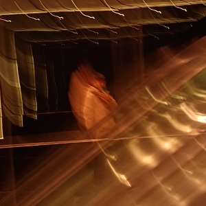 失去后只剩怀念