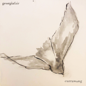 Currawong