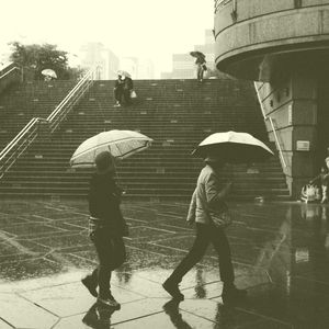 温和放松的梦想