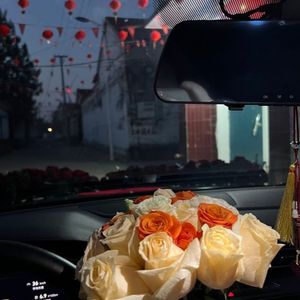 吹散我们的从来不是风