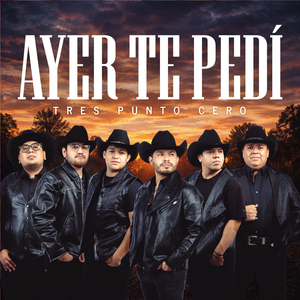Ayer Te Pedi