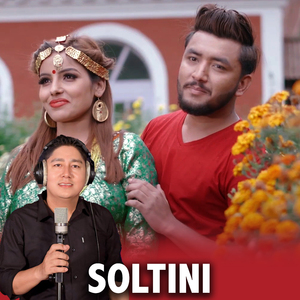 Soltini