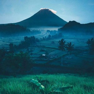 你走了我假装难过