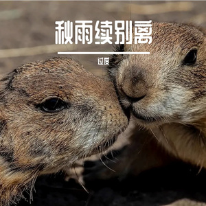 对不起