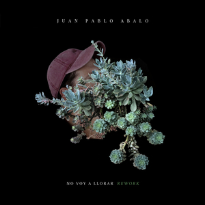 Despertador (Rework)