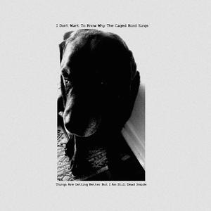 All My Friends Are Dying