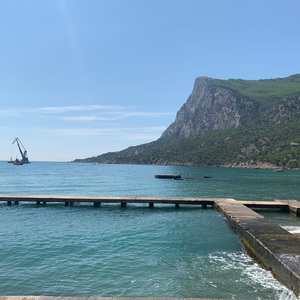 Заведи кота