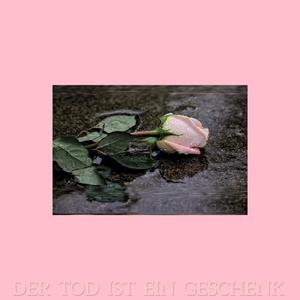 Der Tod ist ein Geschenk