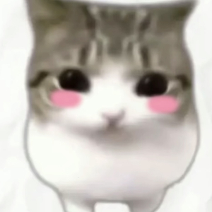 -᷅ ⤙ -᷄
