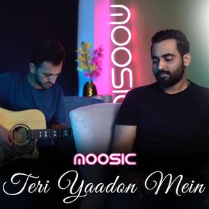 Teri Yaadon Mein (feat. Salman Shabbir)