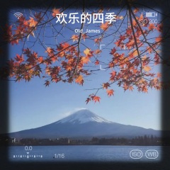 多瑙河之波圆舞曲