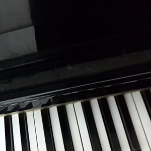 道别（弹唱完整版）