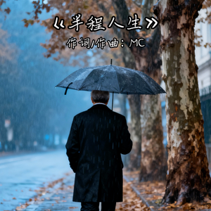 半程人生