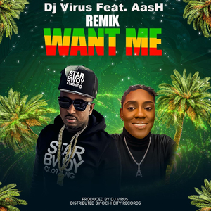 Want Me (Remix) [feat. AasH]
