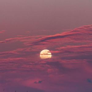 我的意思是我爱你