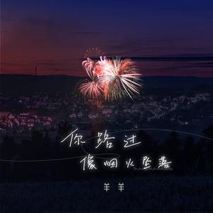 你路过像烟火坠落