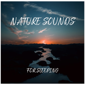 Nature Sounds for Relaxing, Pt. 04
