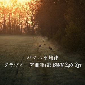 前奏曲 ハ短調 BWV847