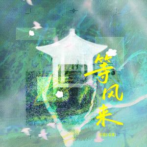 等风来