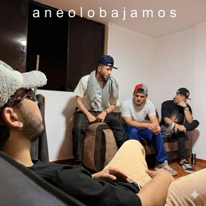 aneolobajamos